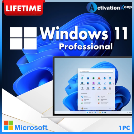 windows 11 professional